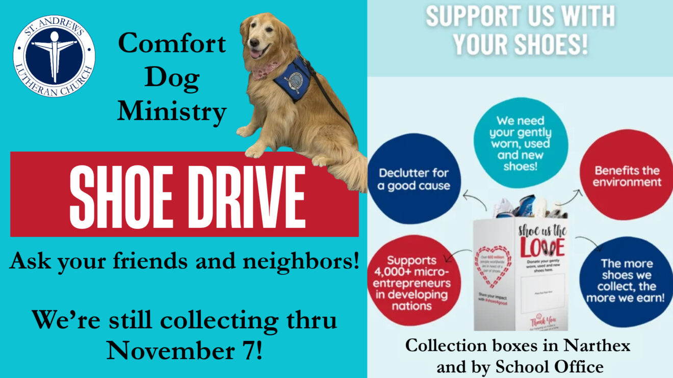 Comfort Dog Ministry Shoe Drive