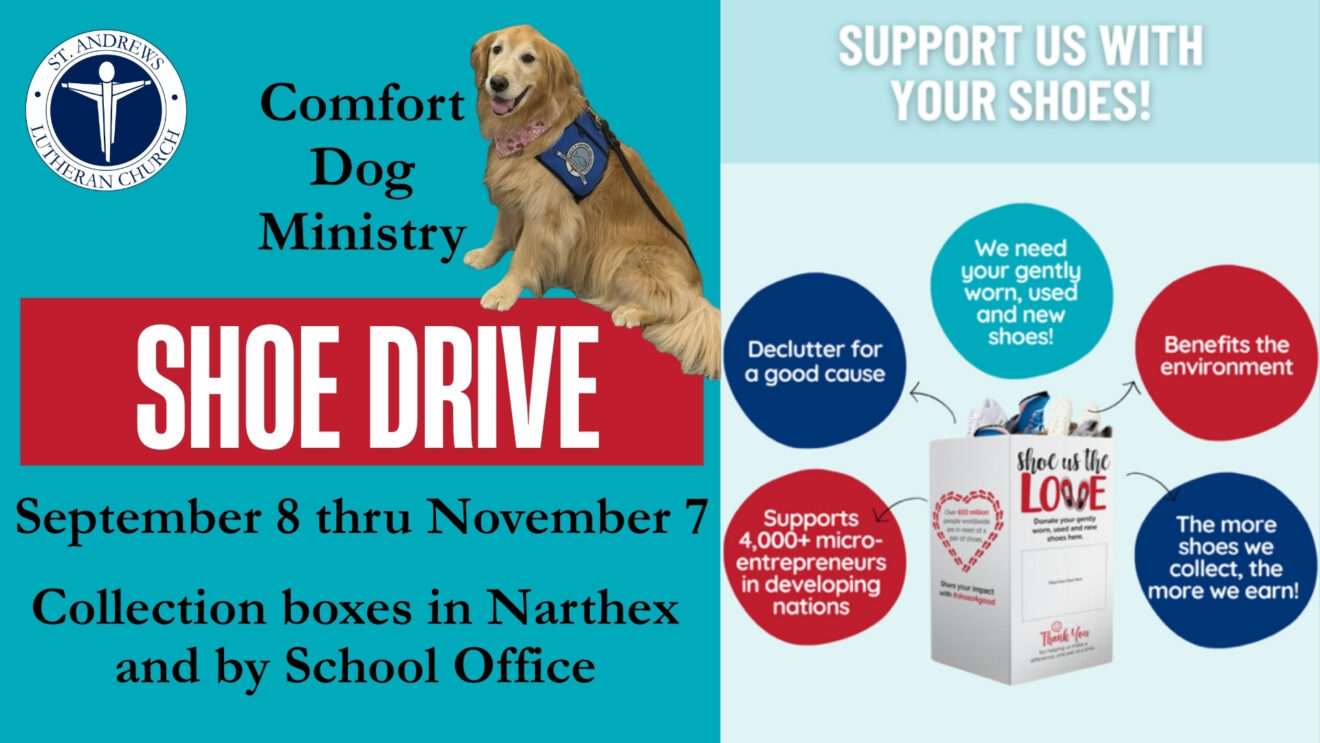 Comfort Dog Ministry Shoe Drive